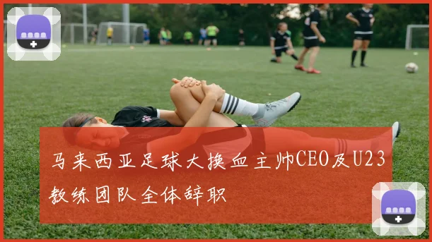 马来西亚足球大换血主帅CEO及U23教练团队全体辞职