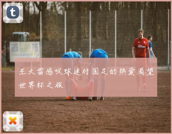 王大雷感叹球迷对国足的热爱渴望世界杯之旅