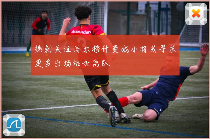 热刺关注马尔穆什曼城小将或寻求更多出场机会离队