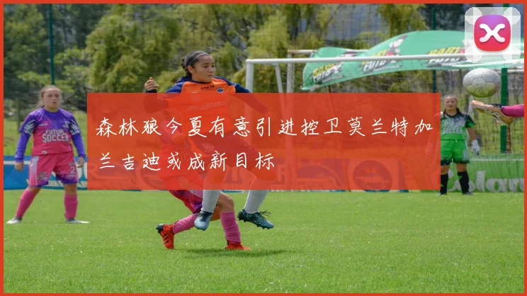 森林狼今夏有意引进控卫莫兰特加兰吉迪或成新目标
