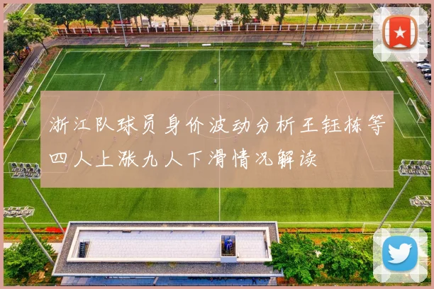 浙江队球员身价波动分析王钰栋等四人上涨九人下滑情况解读